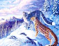 Пара барсов на зимней охоте