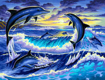 Стая дельфинов над волнами