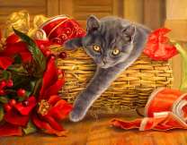 Серый кот в подарочной корзине