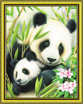 Две хорошенькие панды и цветущие лилии