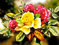Цветущие желтая и красная розы