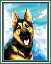 Молодая овчарка