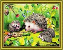 Семья ежей и летние ягоды