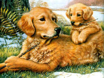 Мама собачка и ее щенок