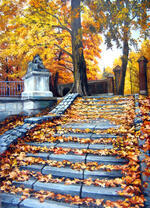 Красота осеннего парка