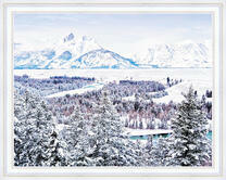 Хвойный лес и снежная долина