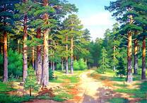 Дорога через сосновый лес