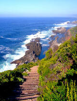 Тропа к морю