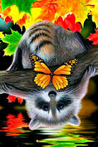 Енотик и желтая бабочка