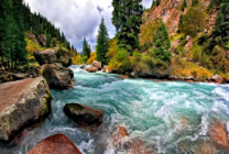 Бурная река в лесной местности