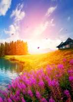 Домик и цветы на берегу озера