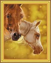 Ухоженные красивые лошади