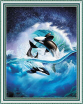 Игра касаток в море