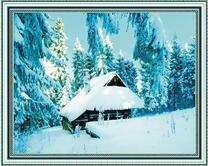 Большие ели у зимней избушки