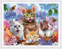 Котятки, цветочки и бабочки