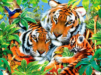 Семья тигров в зелёных листьях