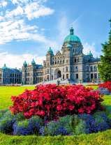 Яркая клумба на фоне дворца