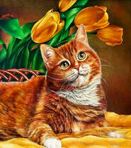 Котик и букет тюльпанов