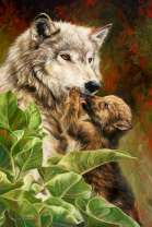 Волк с волчонком в лесу