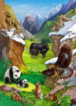 Дружба зверей в горном ущелье