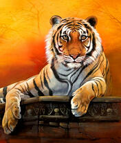 Большой тигр на вечернем отдыхе