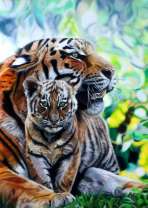 Тигрёнок с тигрицей на летней поляне