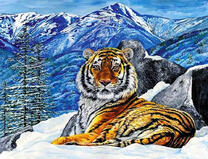 Большой тигр на снегу в горах