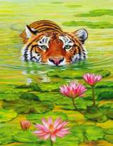 Тигр в озере с лотосами