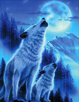 Белые волк с волчонком под полной луной