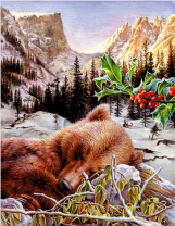 Спящий медведь в заснеженных горах