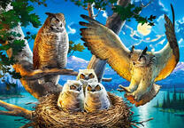 Семья филинов в гнезде