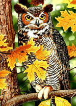 Филин на осенней ветке дерева