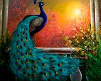 Павлин на фоне солнца и цветов