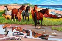 Табун диких лошадей у ручейка