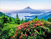 Вид на летнее озеро и гору