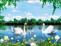 Белые лебеди на озере с лотосами