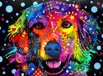 Лабрадор в ярких цветах и звёздочках