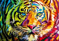 Ярких тигр с разным цветом глаз