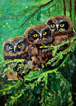 Три совёнка на ветвях дерева