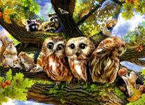 Домик на дереве для сов, енотов и белочек