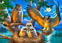 Гнездо сов под полной луной