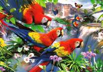 Рай попугаев у водопада