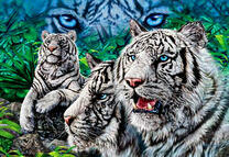 Белые тигры в летней зелени