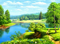 Красота летней природы