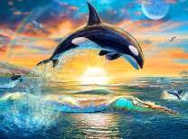 Большая касатка на фоне солнца