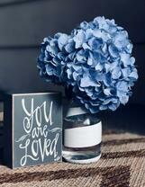 Нежный гиацинт в баночке