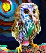 Яркий совёнок под полной луной