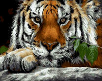 Отдыхающий на камне тигр