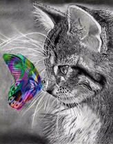 Красивая кошечка и радужная бабочка