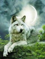 Белый волк в полнолуние